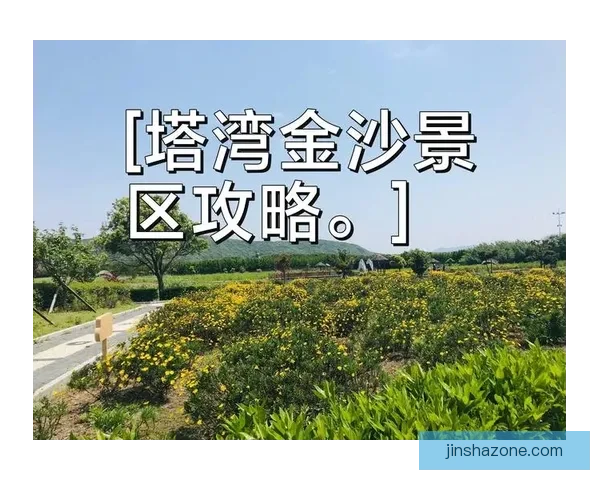 金沙最新动态及周边娱乐休闲攻略全解析